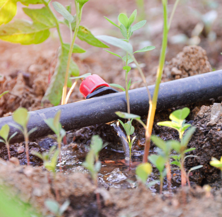 At New Generation Boreholes Solutions Ltd, we design and install modern drip irrigation systems that deliver water directly to plant roots with precision and efficiency. Our systems help conserve water while maximizing crop productivity and farm performance.